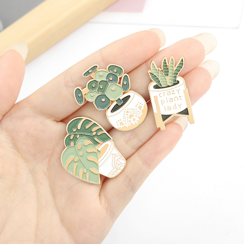 Potted Plant Brooch Monstera A - đánh giá và giá Aloe Vera Pot