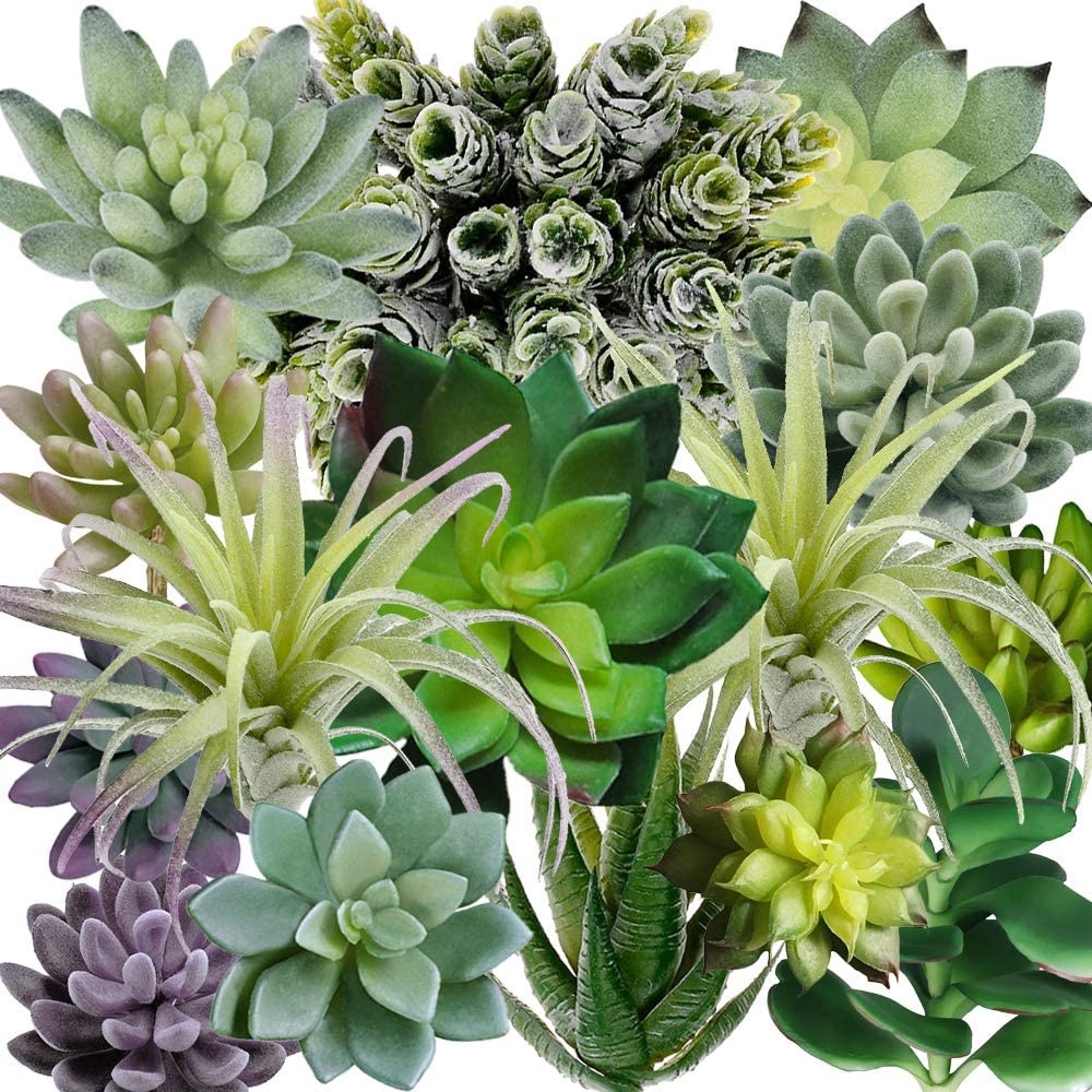 15 Pack Assorted Artificial Su - đánh giá và giá Echeveria Succulent