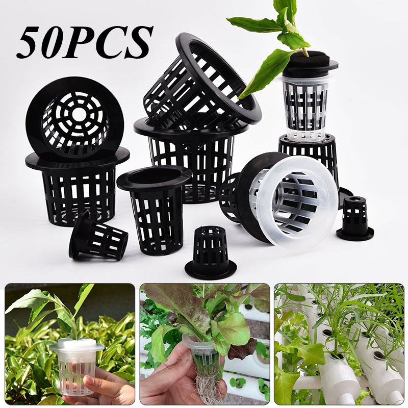 50Pcs Black White Soilless Mes - đánh giá và giá Aloe Vera Pot