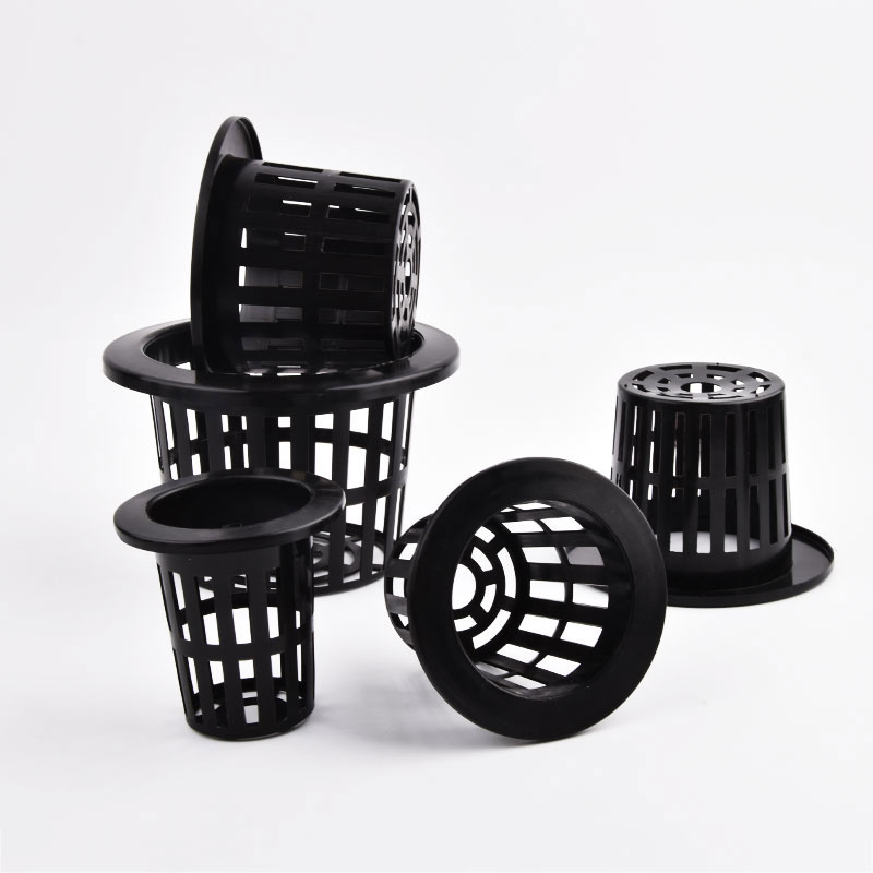 50Pcs Black White Soilless Mes - đánh giá và giá Aloe Vera Pot