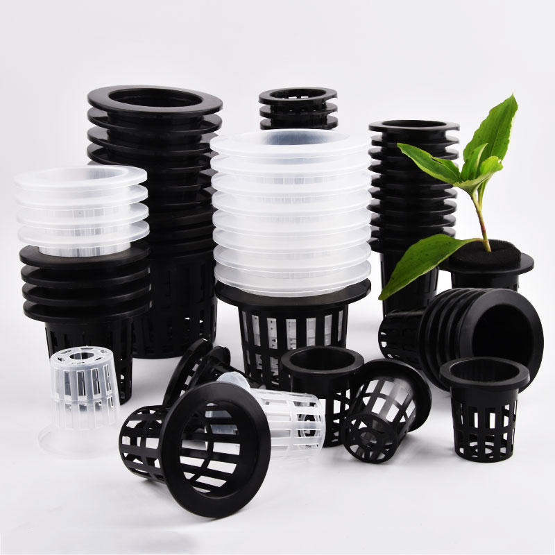 50Pcs Black White Soilless Mes - đánh giá và giá Aloe Vera Pot