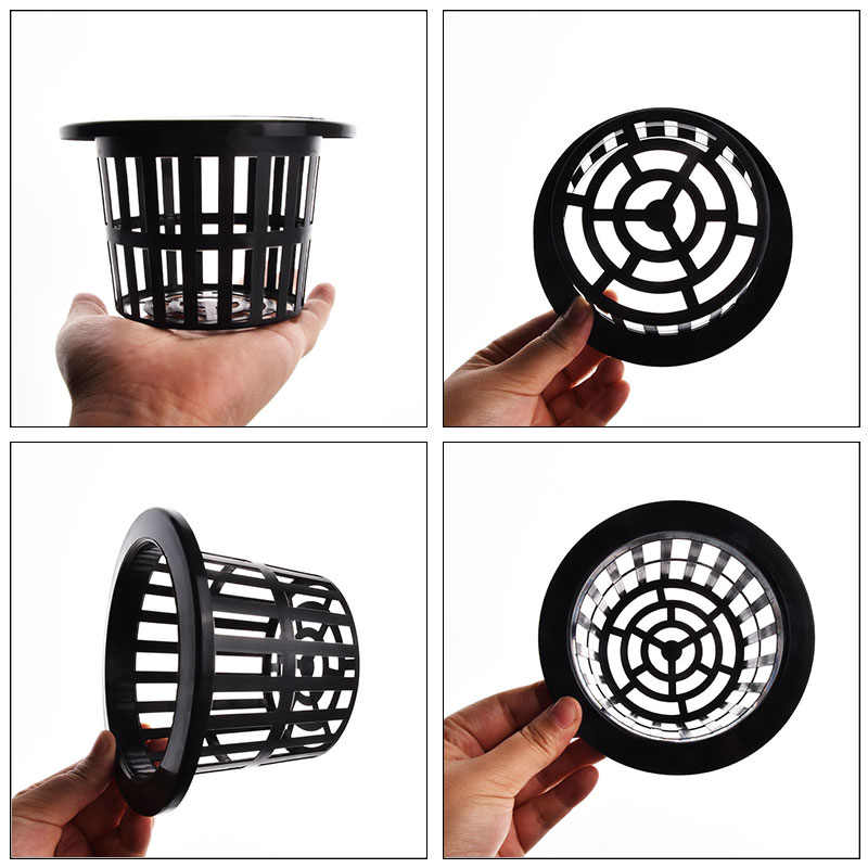 50Pcs Black White Soilless Mes - đánh giá và giá Aloe Vera Pot