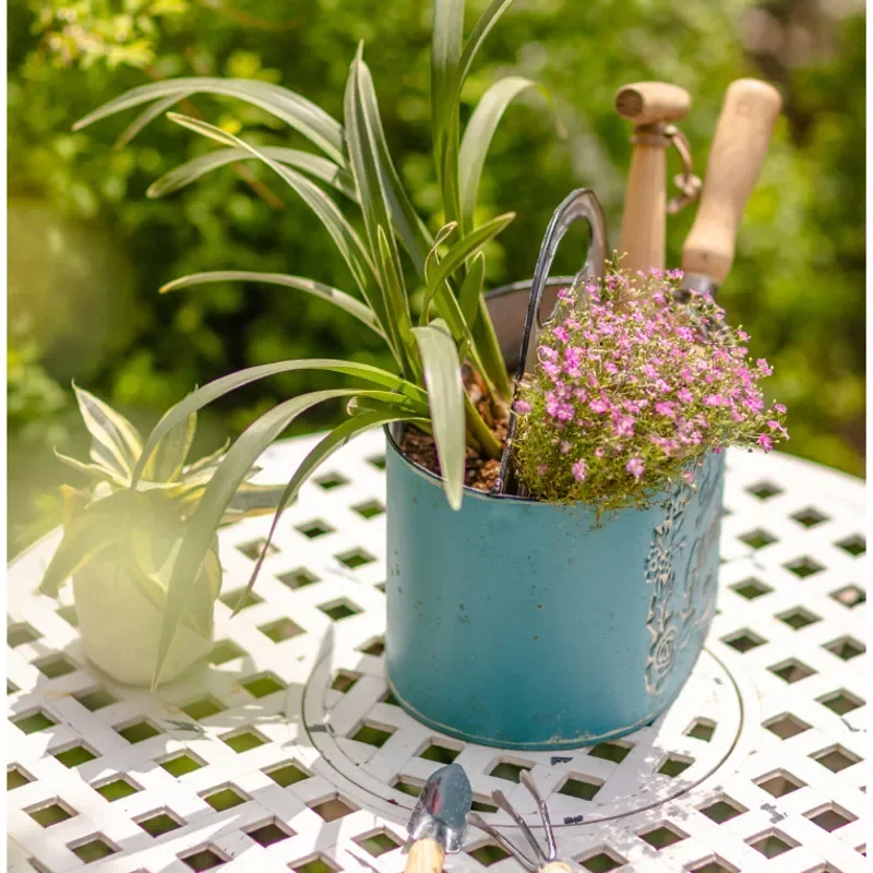 Blue Hanging Wall Planter Aged - đánh giá và giá Spider Plant Hanging