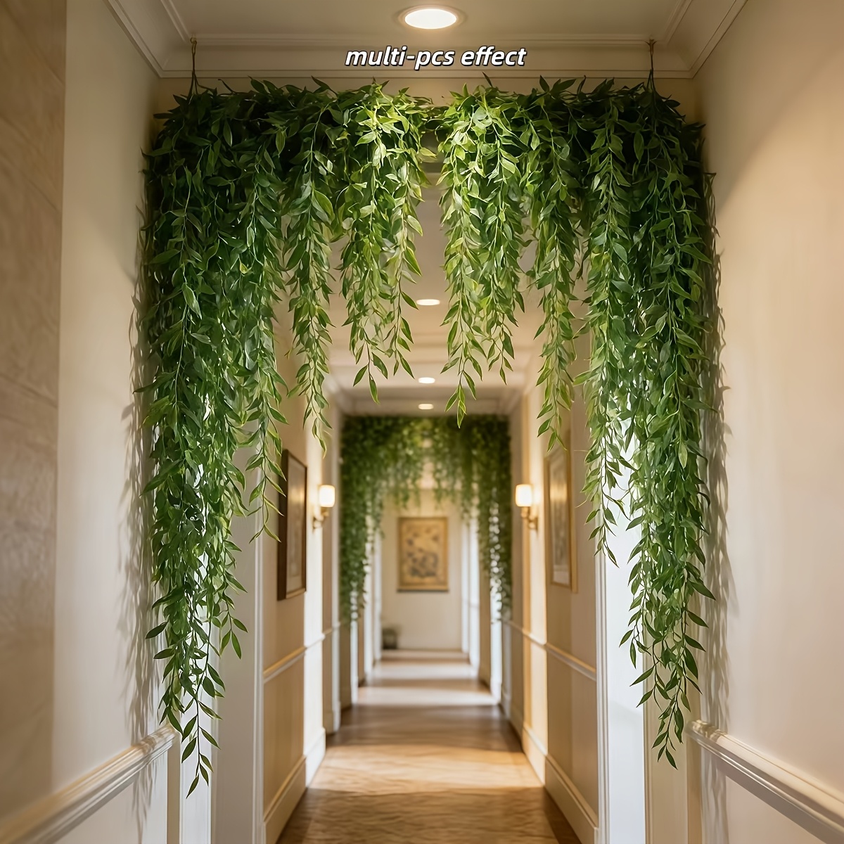 10pcs Extra-Long Deluxe Willow - đánh giá và giá Dracaena Marginata