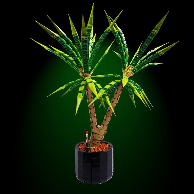 1961pcs MOC Dracaena Marginata - đánh giá và giá Dracaena Marginata
