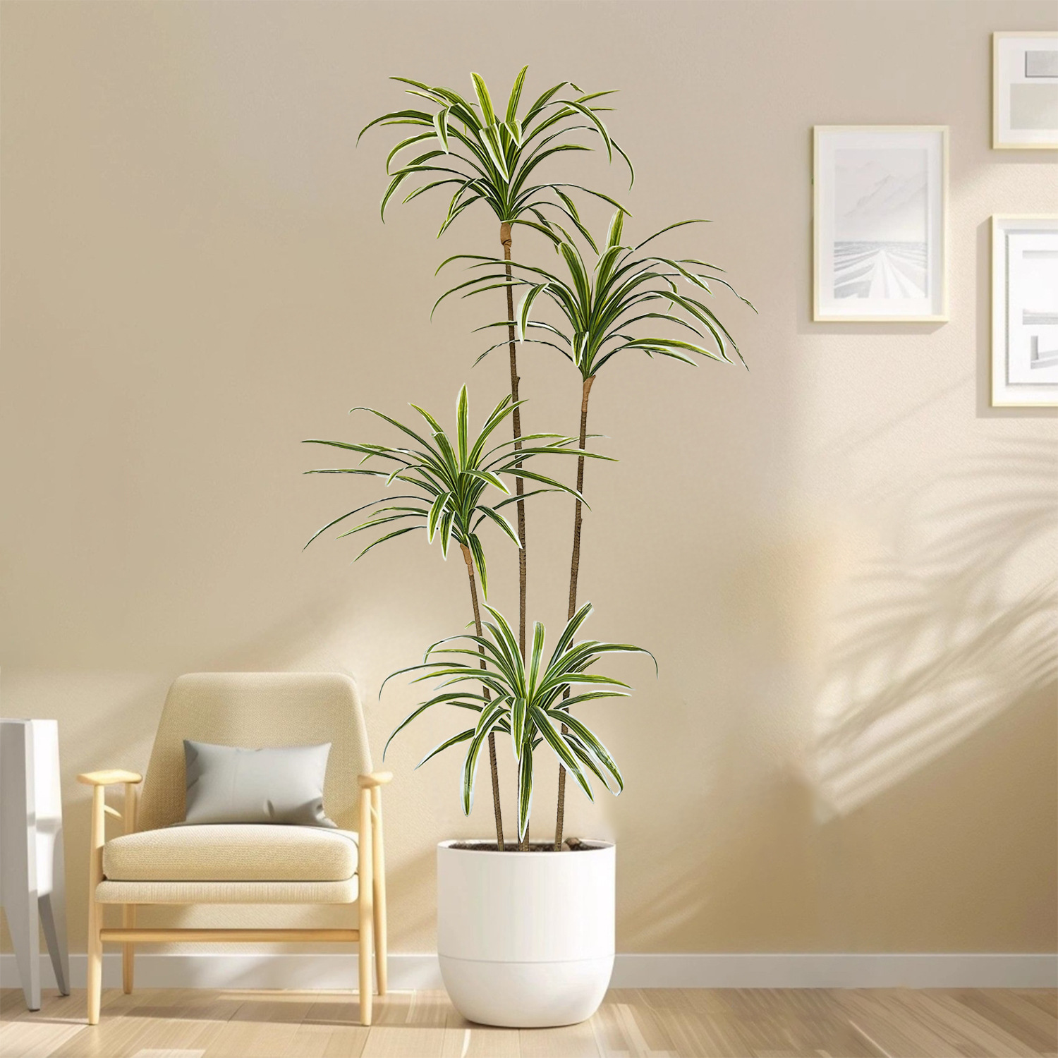 230cm Artificial Dracaena Marg - đánh giá và giá Dracaena Marginata
