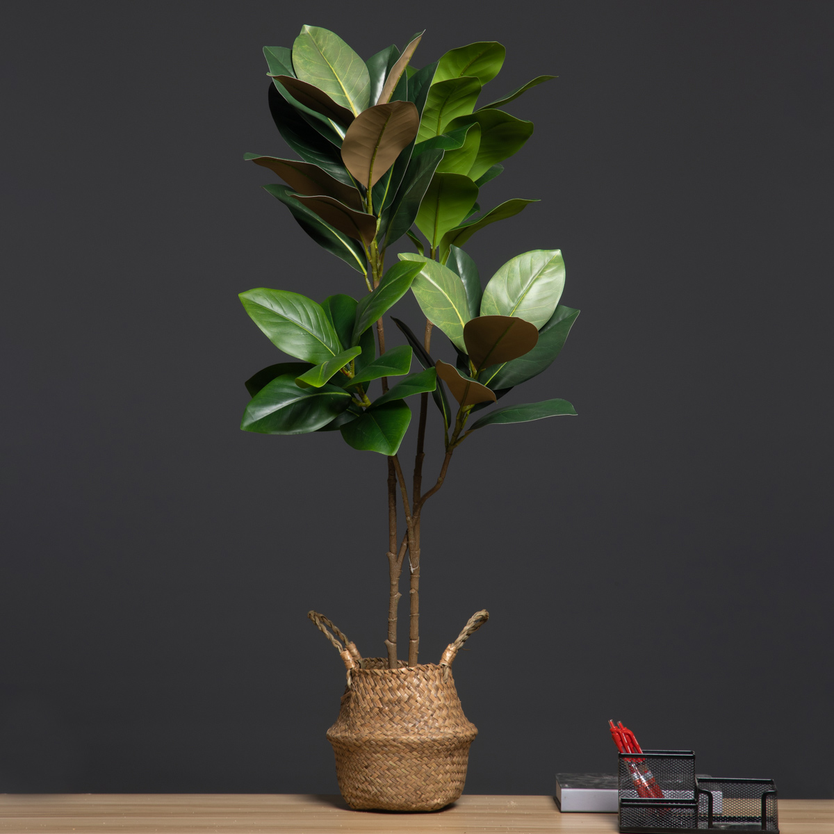 105cm 2 Forks Large Artificial - đánh giá và giá Dracaena Marginata