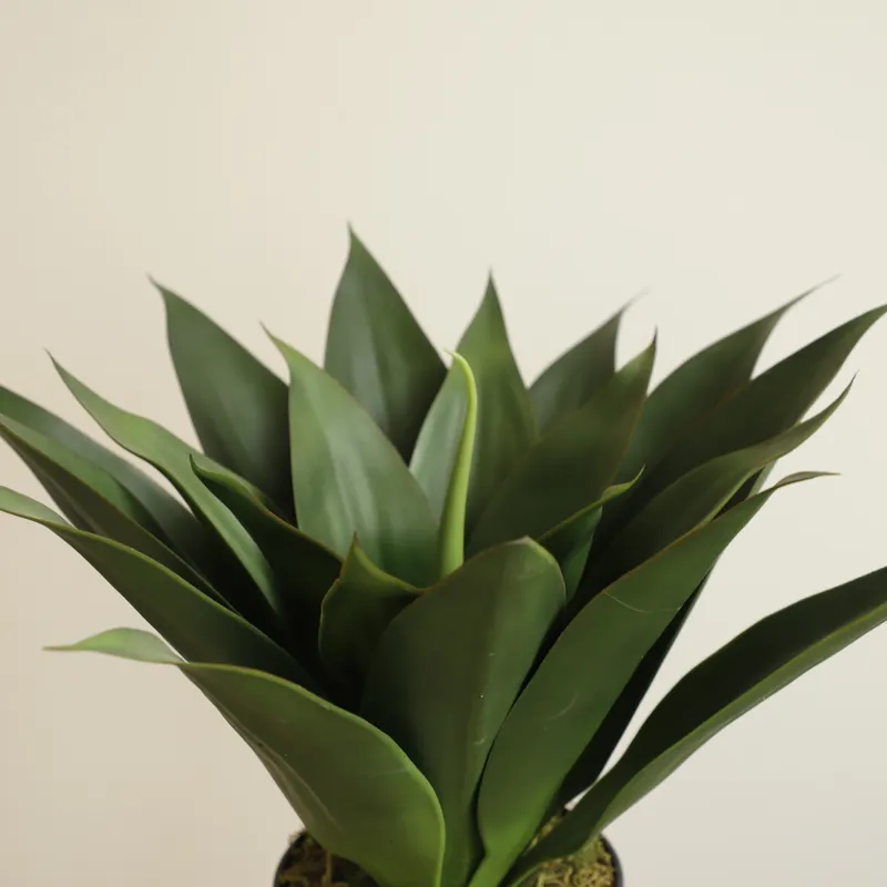 Artificial Potted Aloe Vera Pl - đánh giá và giá Aloe Vera Pot