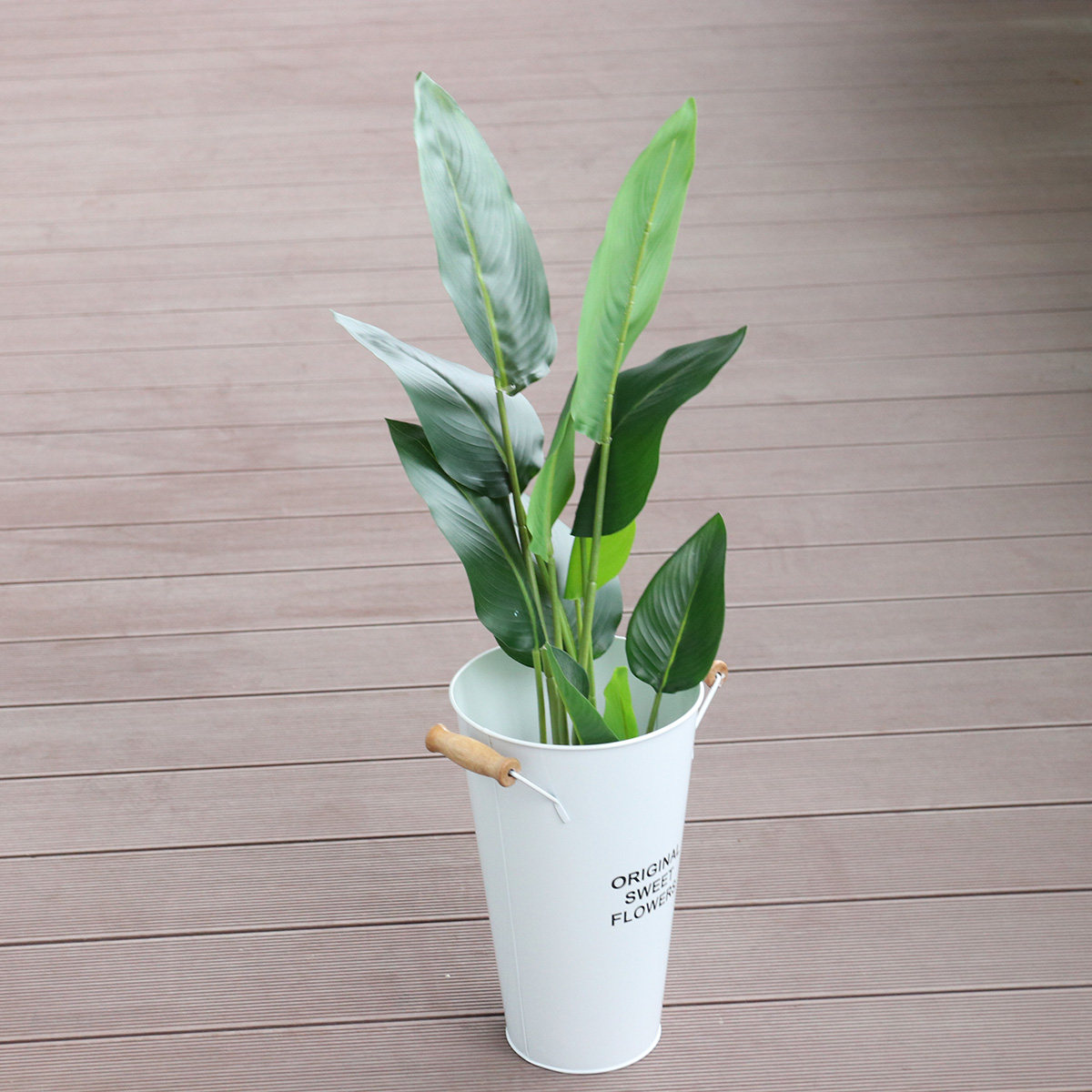 Wrought Iron Flower Vase Deskt - đánh giá và giá Aloe Vera Pot